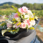Photographie Mariage Montpellier Hérault